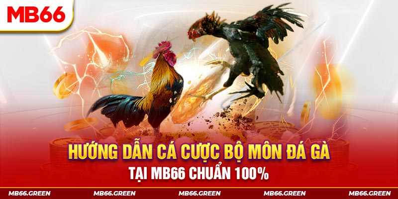 vwin kết quả xổ số miền bắc ngày hôm nay
