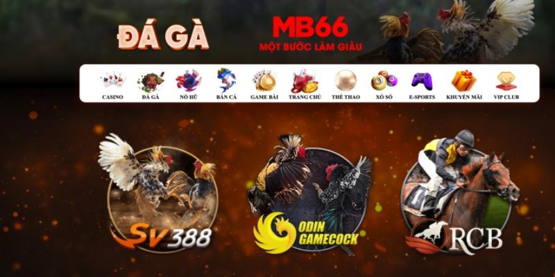 vwin what is casino bonus wagering