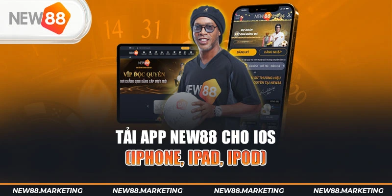 vwin gà chọi cậu thanh