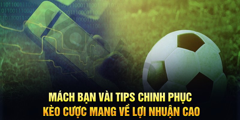 vwin đăng nhập phỏm hàng đầu
