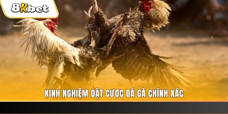 vwin xổ số thứ bảy hàng tuần