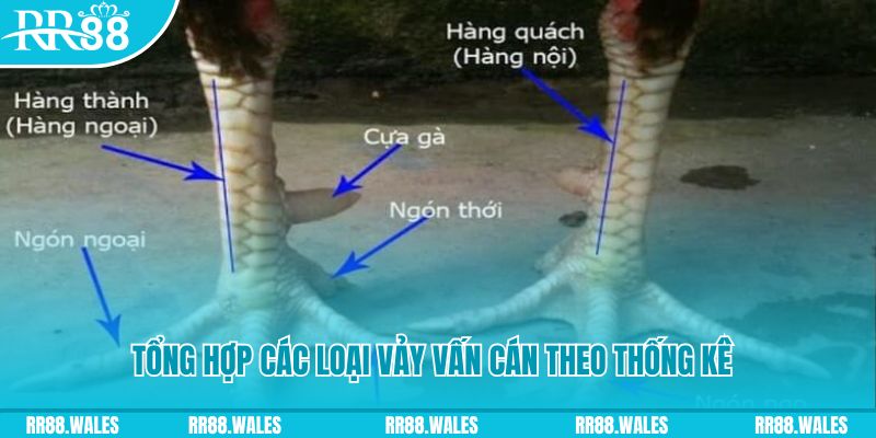 vwin casino hồ tràm có cho người việt vào không