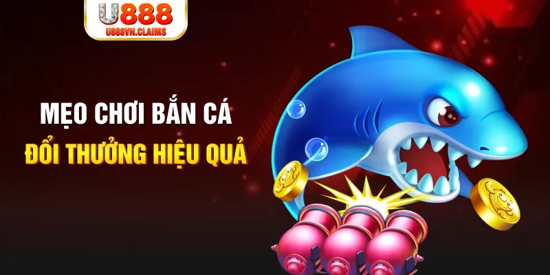 vwin gà chọi cam ranh