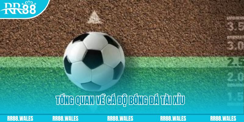 vwin đăng nhập roulette online