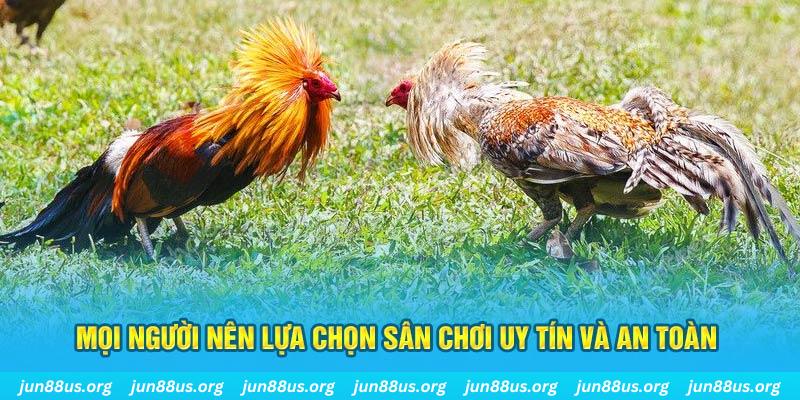 vwin Cỡ bảy