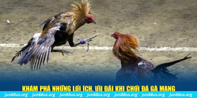 vwin đăng nhập liêng live