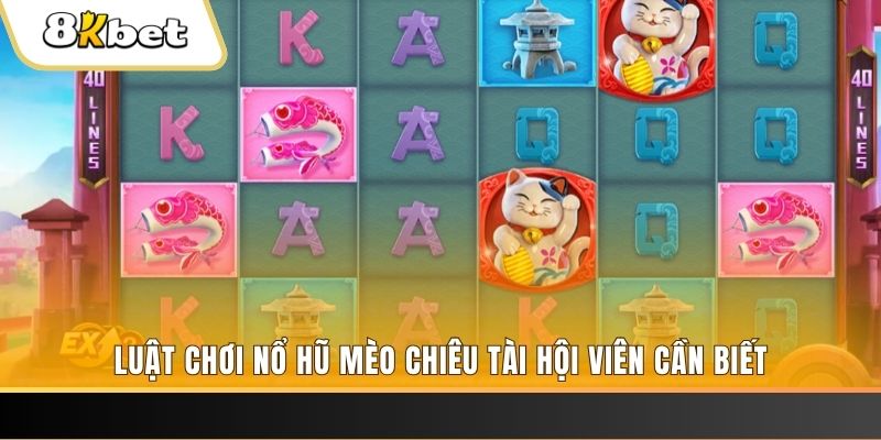 vwin gà chọi cu cần