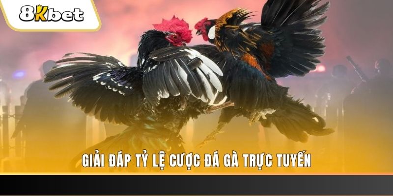 vwin ban ca online