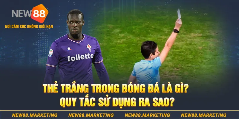 vwin đăng nhập sòng bạc hôm nay