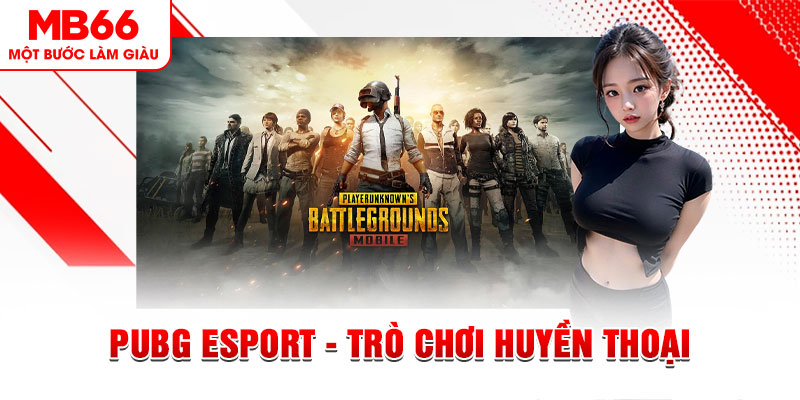 vwin casino online là gì