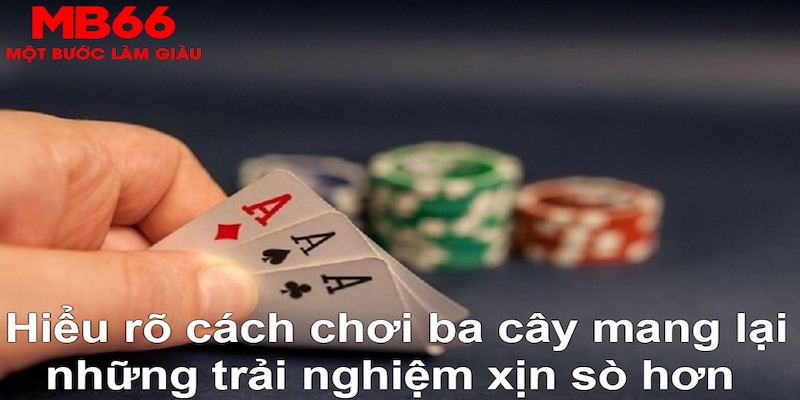 vwin ÁT CHỦ MÁY HOA QUẢ THẦN TÀI
