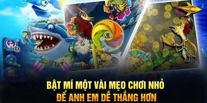 vwin xổ số thứ ba